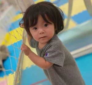 田川星華ちゃん虐待死事件の概要
